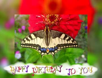 FX №233553 Happy Birthday Butterfly on flower