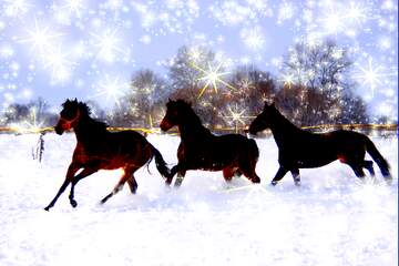 FX №233064 Horses winter card