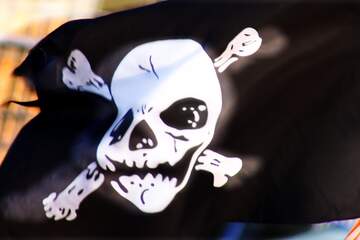 FX №233752 pirate treasure  flag