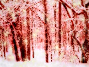 FX №233705 Winter  Forest red