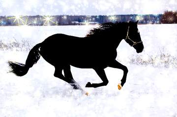 FX №233066 Winter Horse in the snow