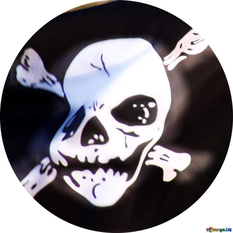 Pirate profile image №2276