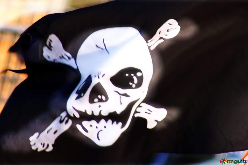 pirate treasure  flag №2276