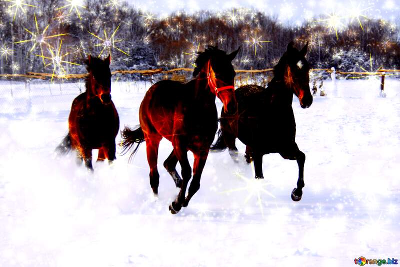 Winter card Three horses in the snow №3981