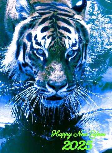 FX №235314 2024 Tiger year water blue