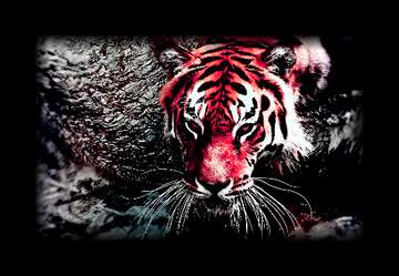 FX №236022 red tiger