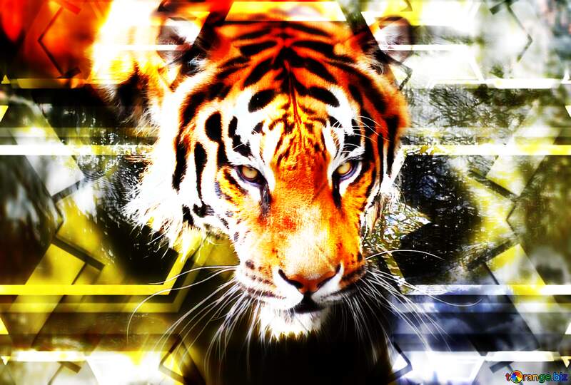 tiger art background №45643
