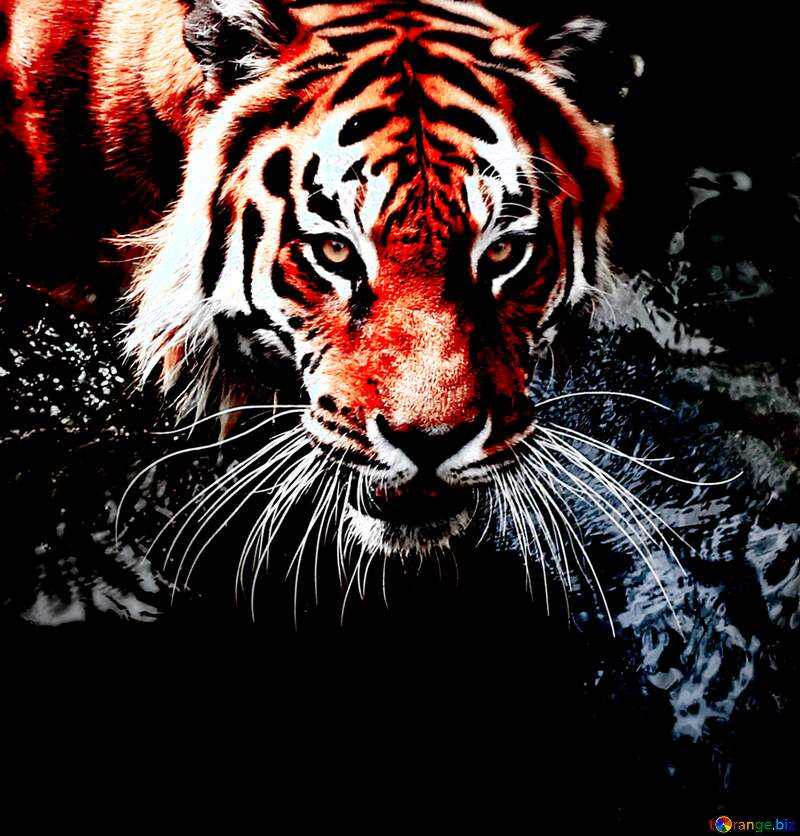 Wonderful 3D Tiger Wallpaper for iPhone 4