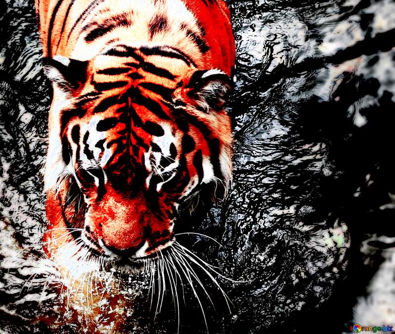 water Tiger №45670