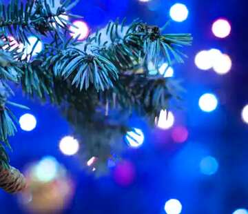 FX №24002 Christmas tree card blue bokeh