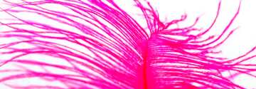 FX №24921 pink feather