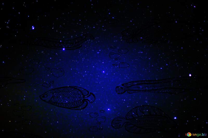 Night sky fish №44731