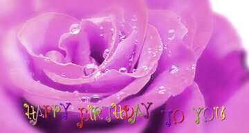 FX №25457  happy birthday card Rose flower