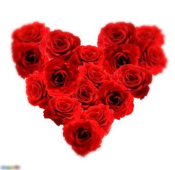 FX №25433  Roses Heart