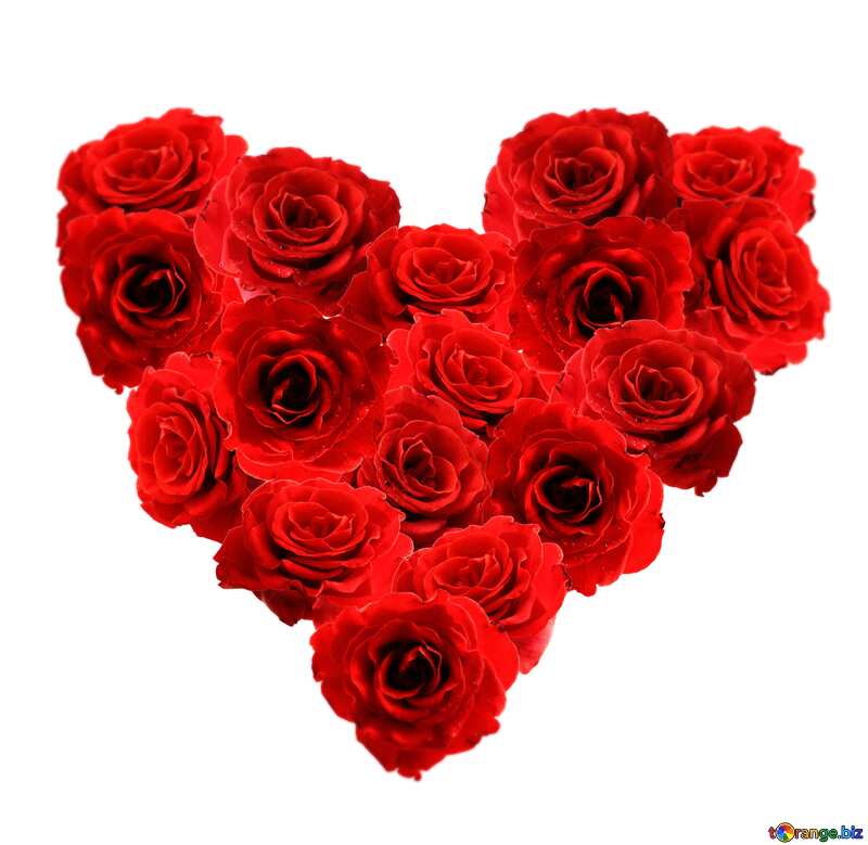  Roses Heart №17074