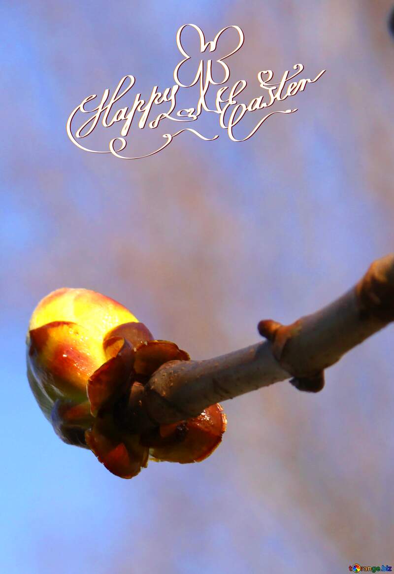 Sprig Chestnut spring happy easter card №1772