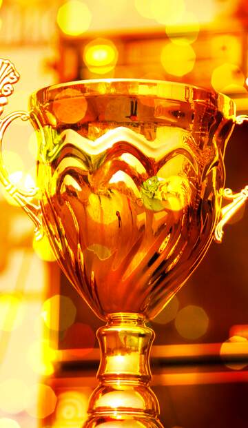 FX №261293 Winner Cup