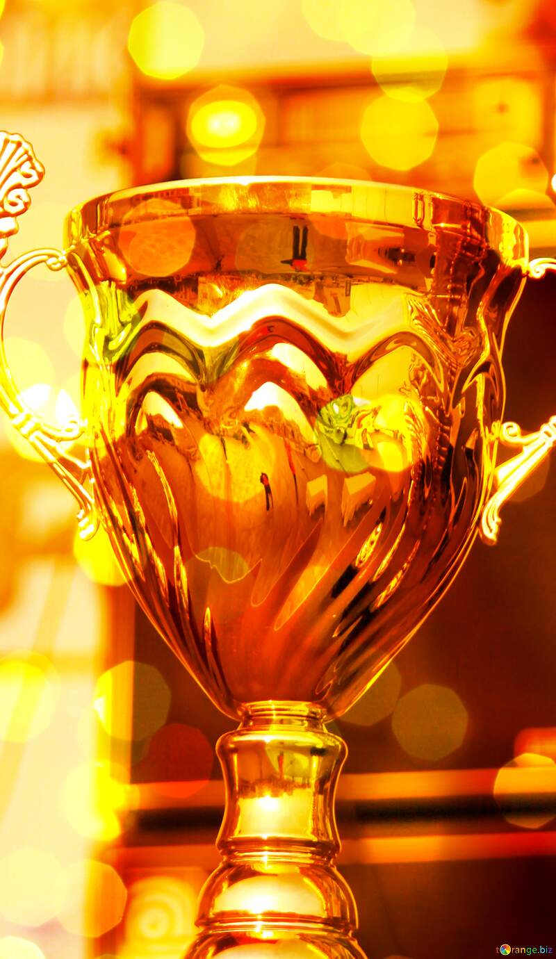 Winner Cup №2646