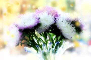 FX №262602 Bouquet of asters Flowers background