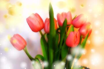 FX №262675 Bouquet pink tulips background