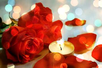 FX №262484 Romantic roses petals