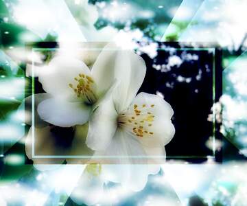 FX №262730 trees flowers template