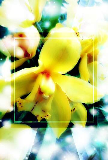 FX №262731 Yellow Orchid template