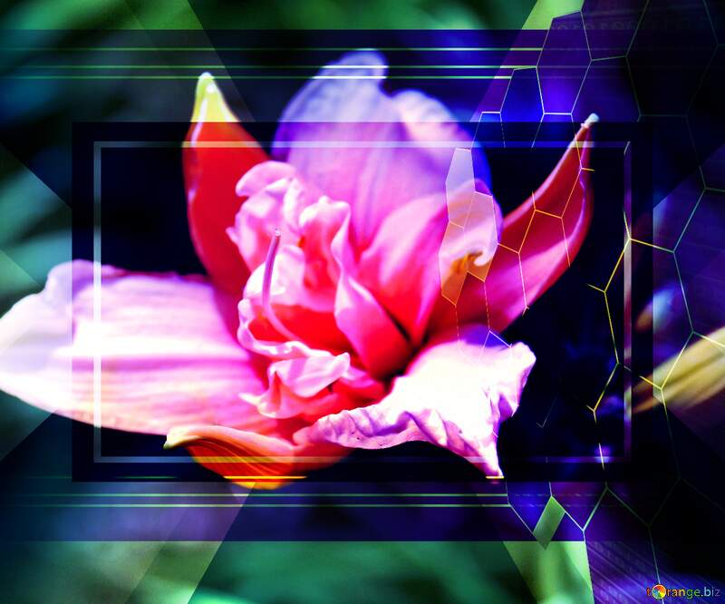 Delicate flower Tech template №20592