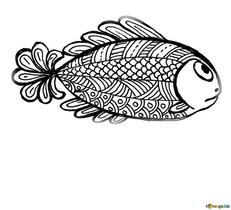 hand draw fish №56189