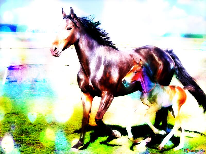 Horses colorful background №6182