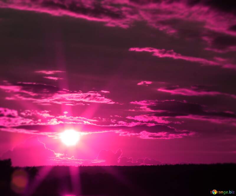 Pinky  Sunset №36488