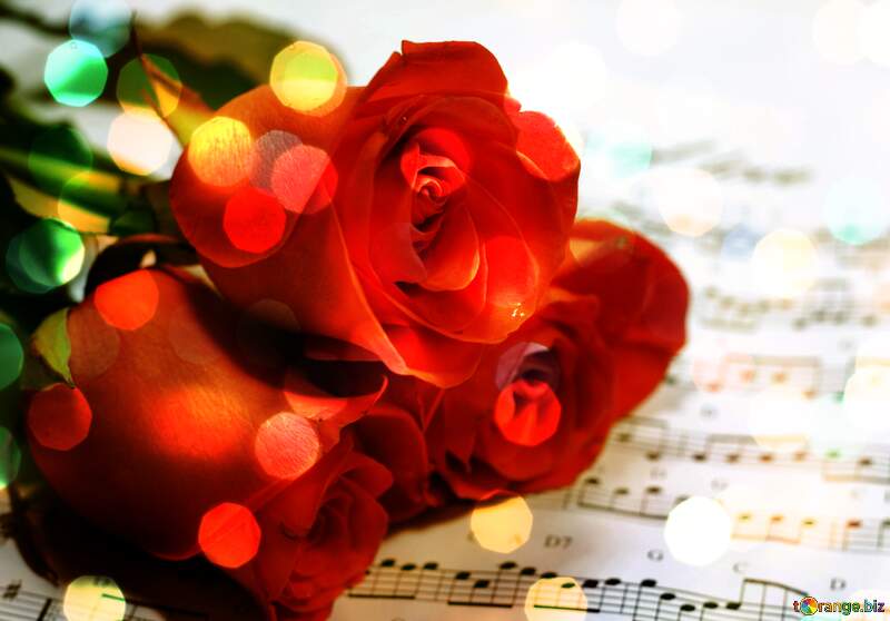 Roses music background №7202