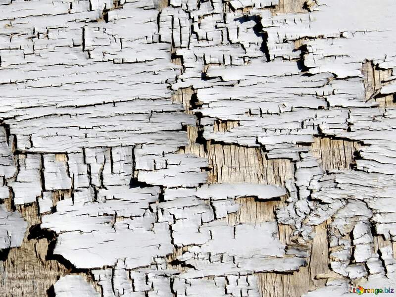 white cracked paint texture №54176