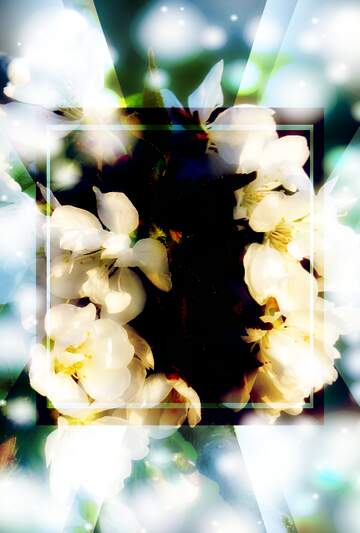 FX №263064 Білі квіти на деревах - ніжний підсумок зимової...