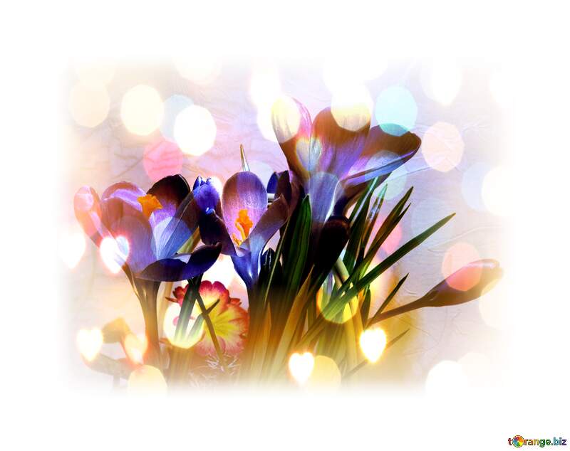Primavera en Colores №21262