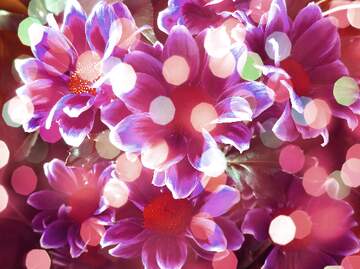 FX №265465 Beautiful Blossom Bliss
