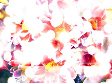 FX №265482 Cherry Blossom Ballet