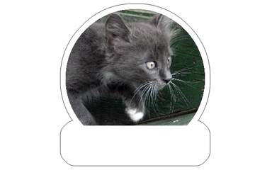 FX №265633 Kitten on the hunt sticker
