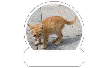 FX №265631 pathetic kitten sticker