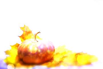 FX №265332 Pumpkin holiday twinkling background