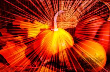 FX №265330 pumpkins autumn rays explosive