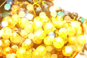 FX №265498 Vineyard Joyful Celebration: Holiday Grapes Background
