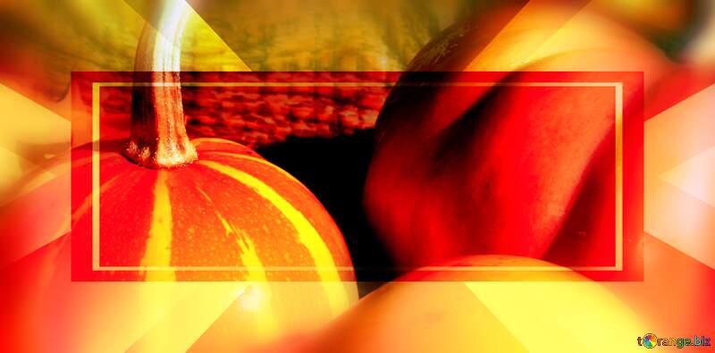 autumn pumpkins banner template №35421