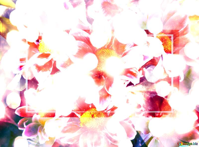 Cherry Blossom Ballet №26602