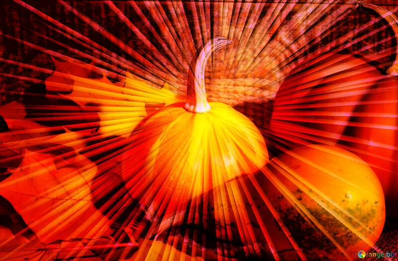 pumpkins autumn rays explosive №35421