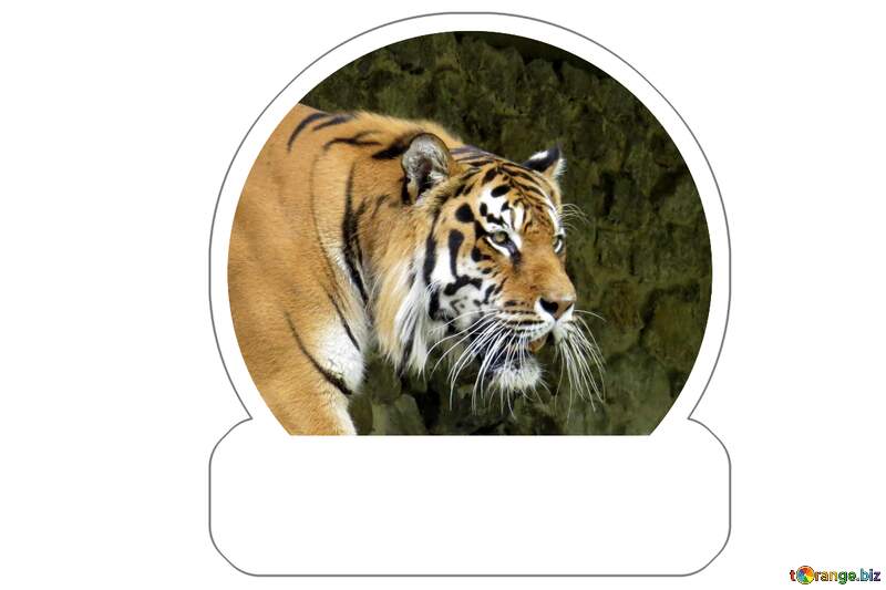Tiger sticker №45000