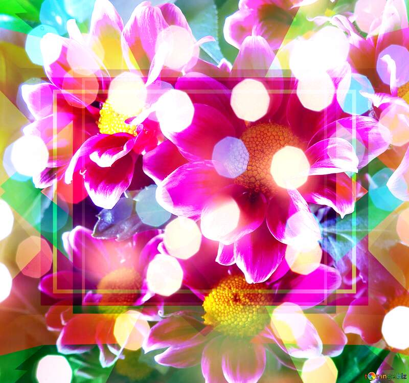 Vermilion Velvet in Garden`s Serenade №26602