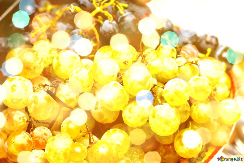 Vineyard Joyful Celebration: Holiday Grapes Background №36286