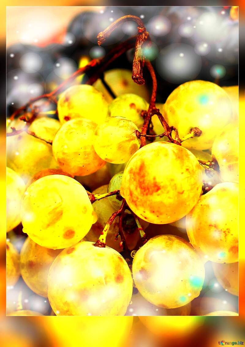 Wine Grapes Fantasy: Holiday Background Dream №36286