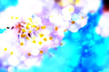 FX №266062 Azure Blooms in Spring Awakening